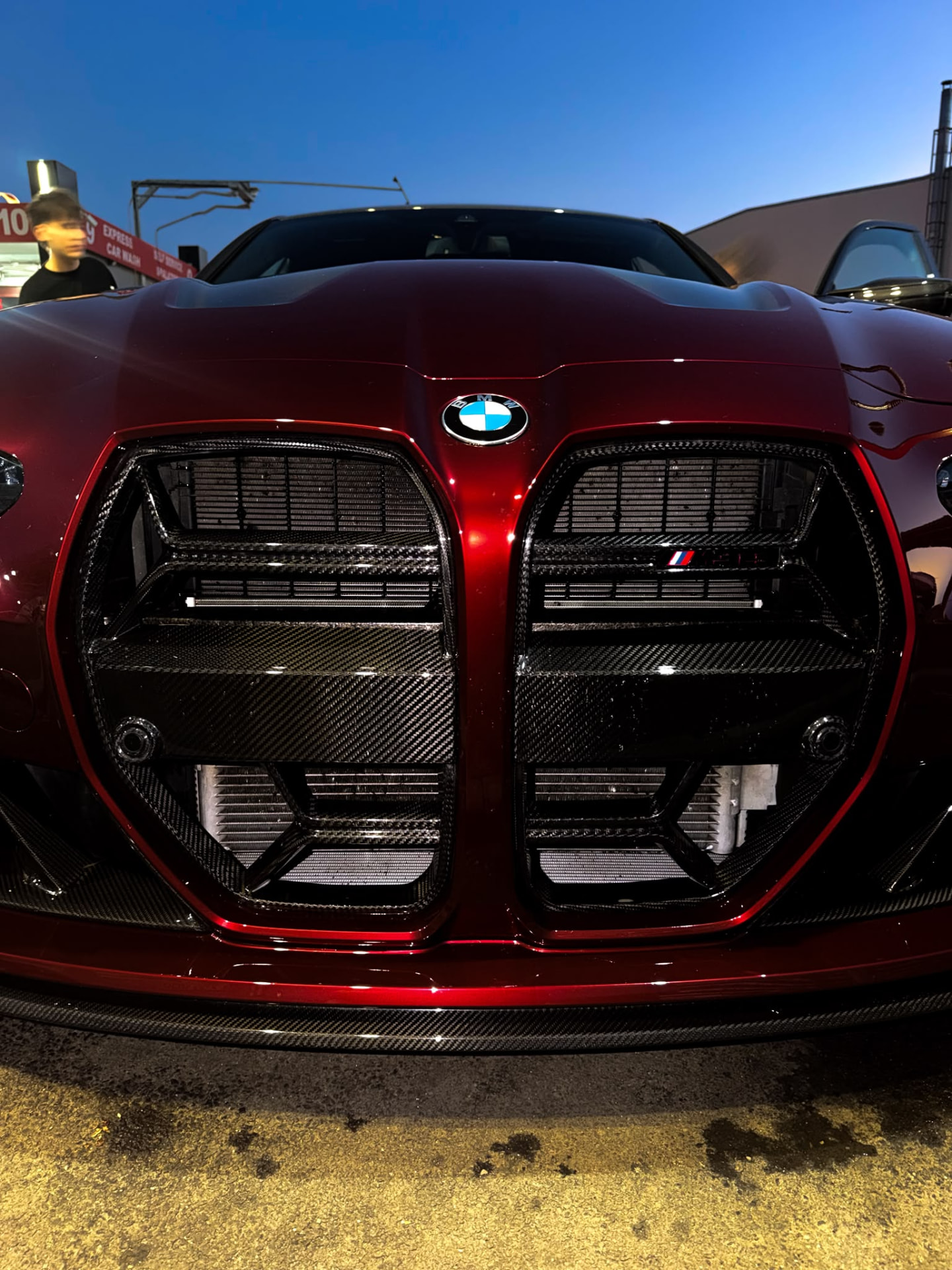 Carbon grille detail